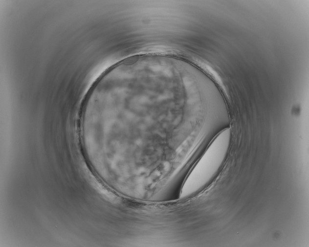 X0000091541091200709141451