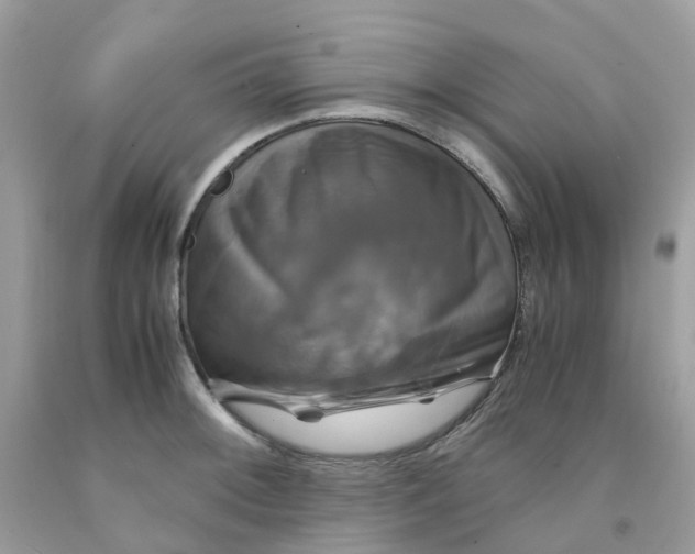 X0000091541092200709141451