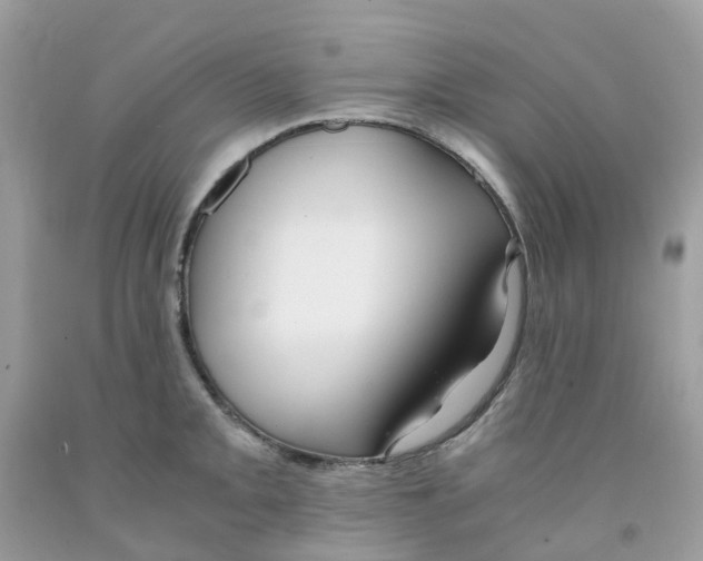 X0000091541093200709141451