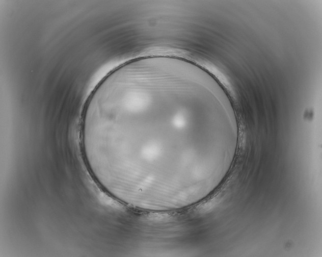 X0000091541094200709141451