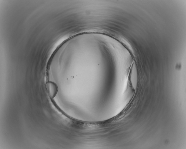 X0000091541095200709141451