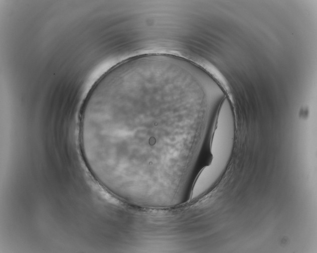 X0000091541096200709141451