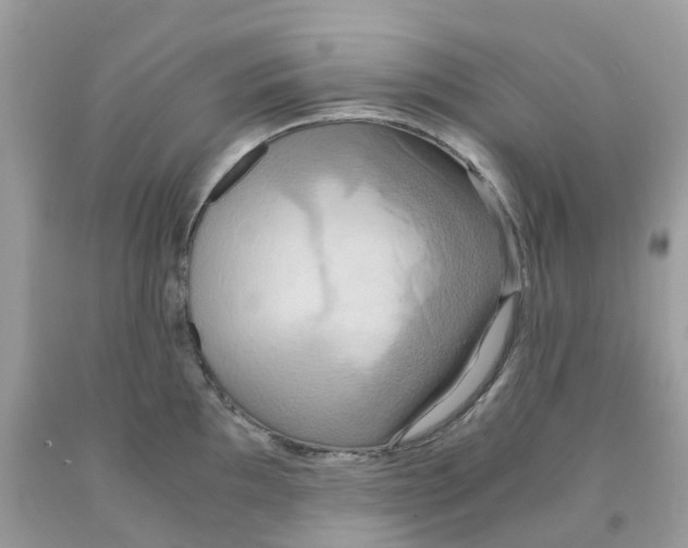 X0000091541097200709141451