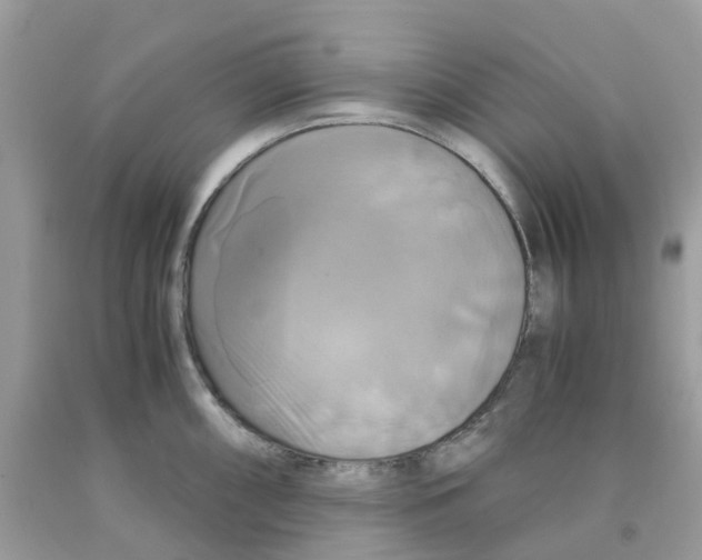 X0000091541098200709141451