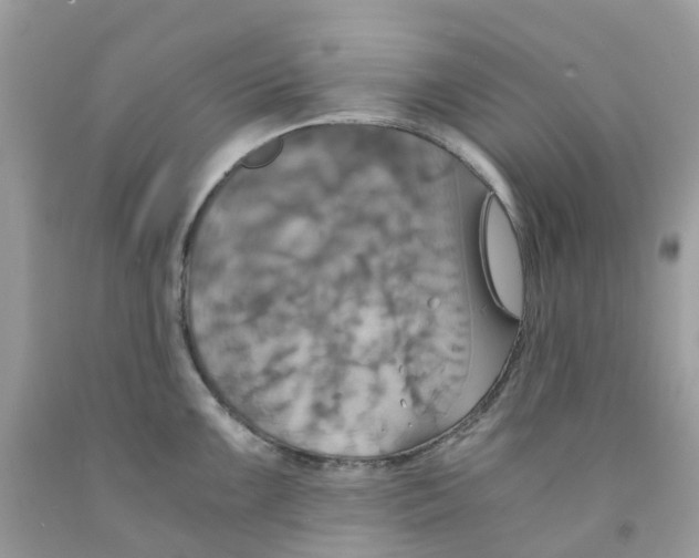 X0000091541099200709141451