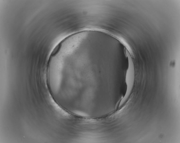 X0000091541100200709141451