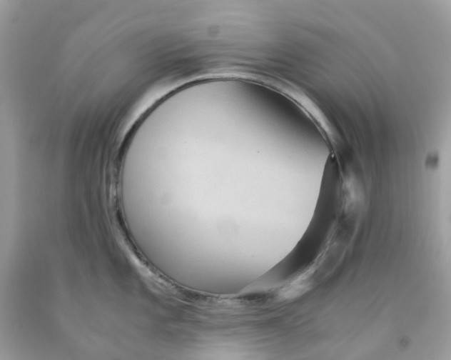 X0000091541101200709141451