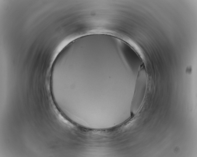 X0000091541102200709141451