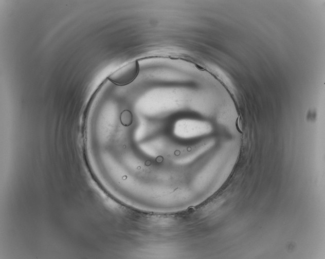 X0000091541103200709141451