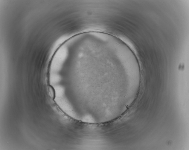 X0000091541104200709141451