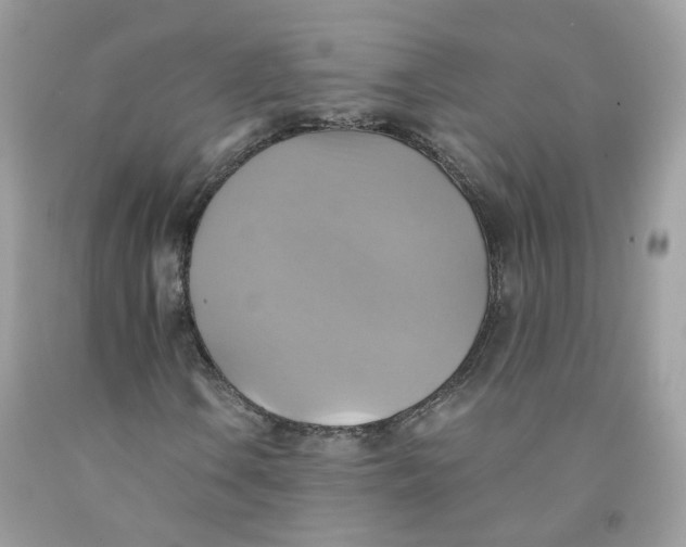 X0000091541106200709141450