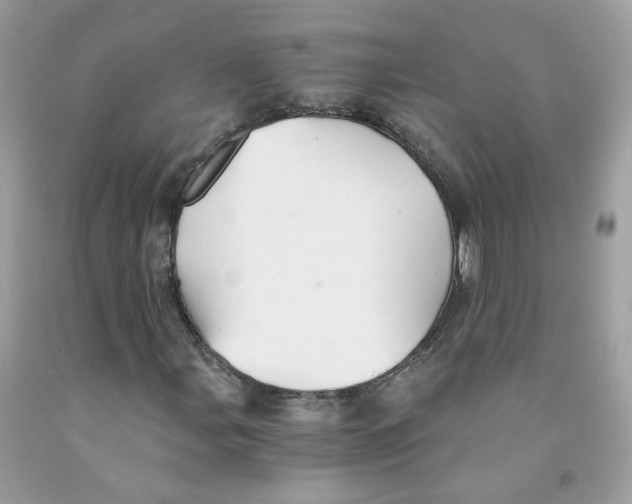 X0000091541107200709141450