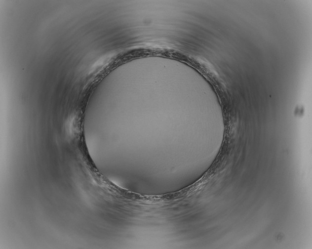 X0000091541110200709141450