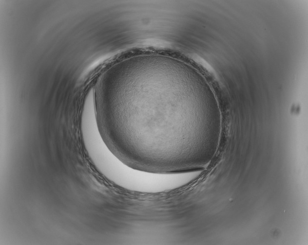 X0000091541112200709141450