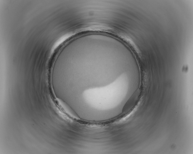 X0000091541114200709141450