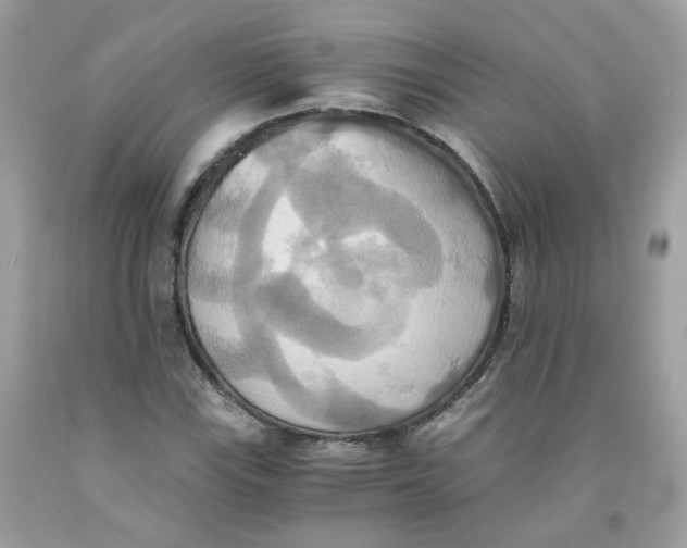 X0000091541115200709141450