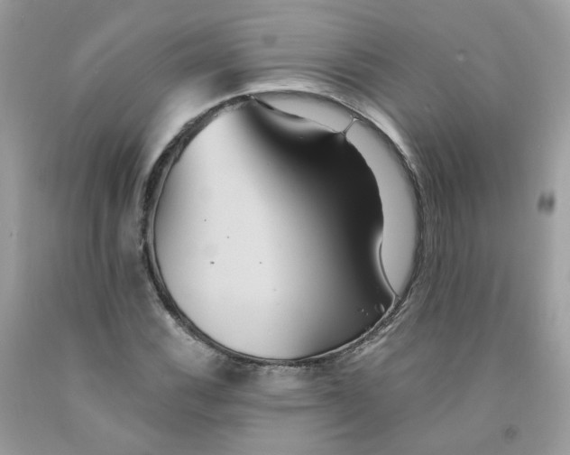 X0000091541116200709141450