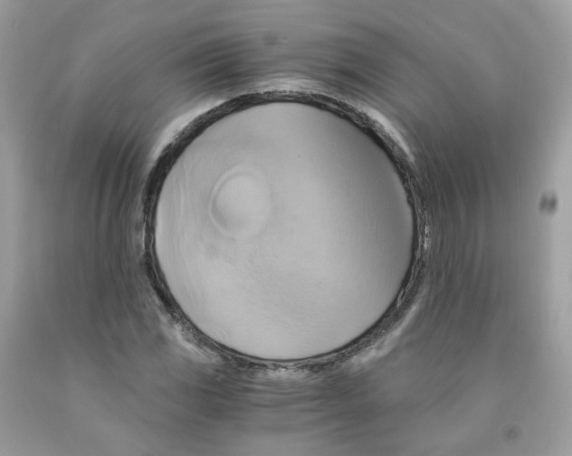 X0000091541117200709141450