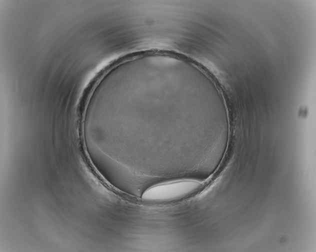 X0000091541118200709141450