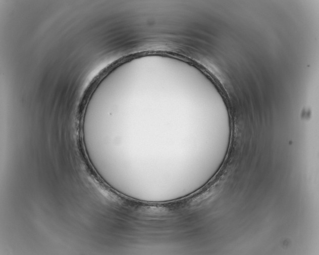 X0000091541119200709141450