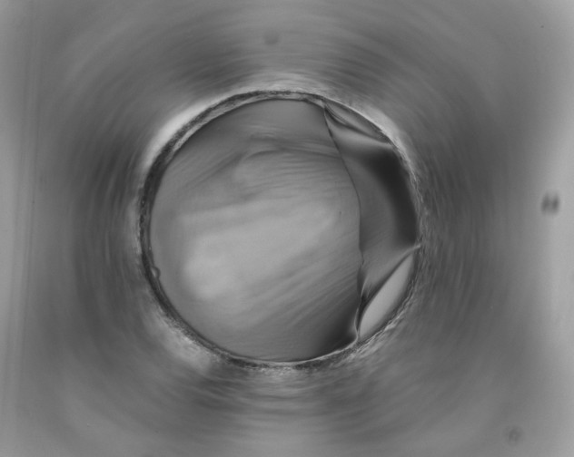 X0000091541120200709141450