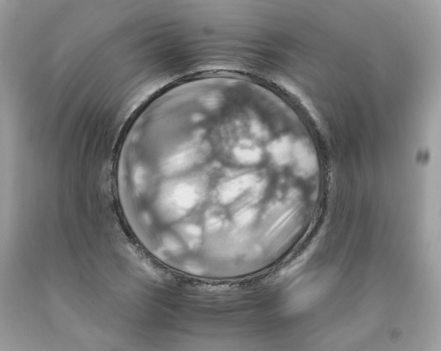 X0000091541121200709141450