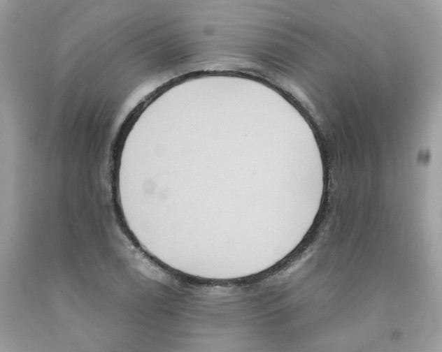 X0000091541122200709141450