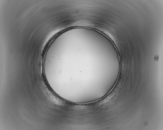 X0000091541123200709141450