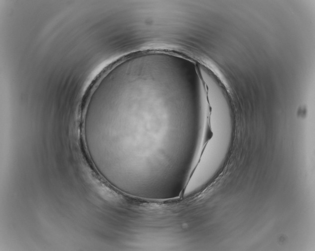 X0000091541124200709141450