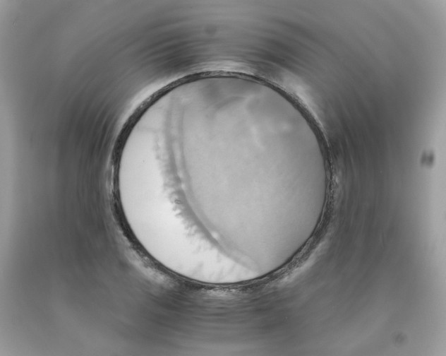 X0000091541125200709141450