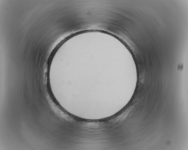 X0000091541126200709141450