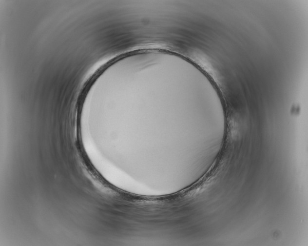 X0000091541127200709141450