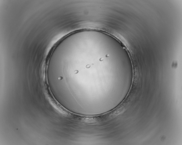 X0000091541128200709141450