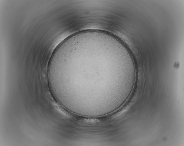 X0000091541129200709141450