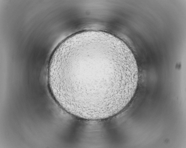 X0000091541130200709141450