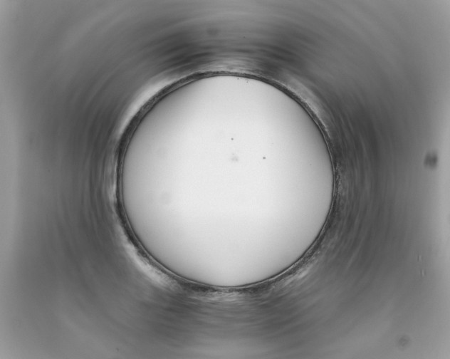 X0000091541131200709141450