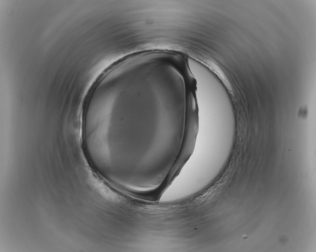 X0000091541132200709141450