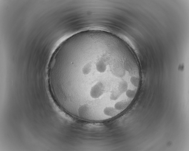 X0000091541133200709141450