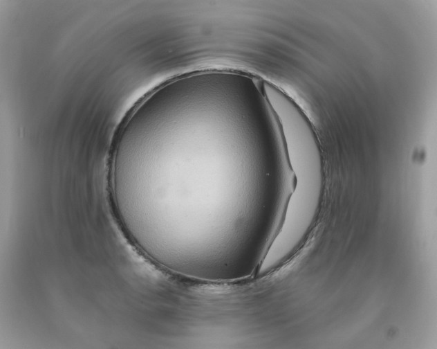 X0000091541134200709141450