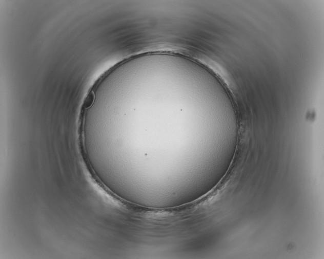 X0000091541135200709141450