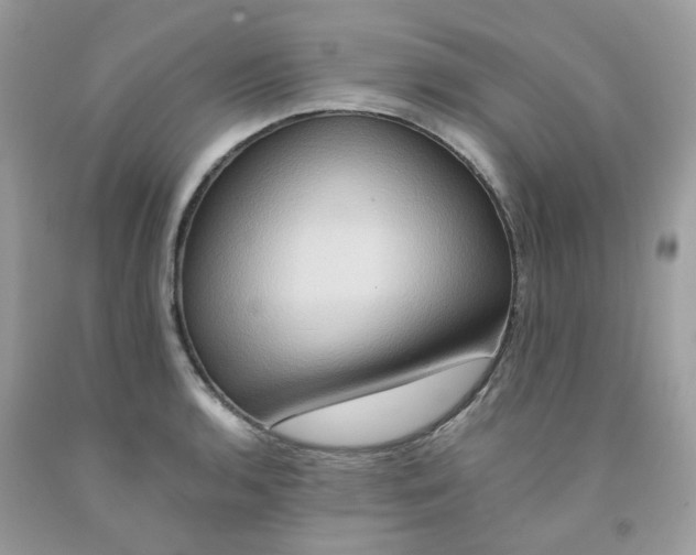 X0000091541136200709141450