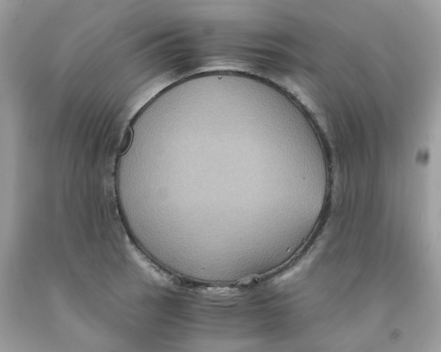 X0000091541137200709141450