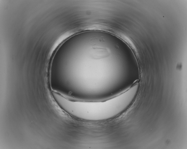 X0000091541138200709141450