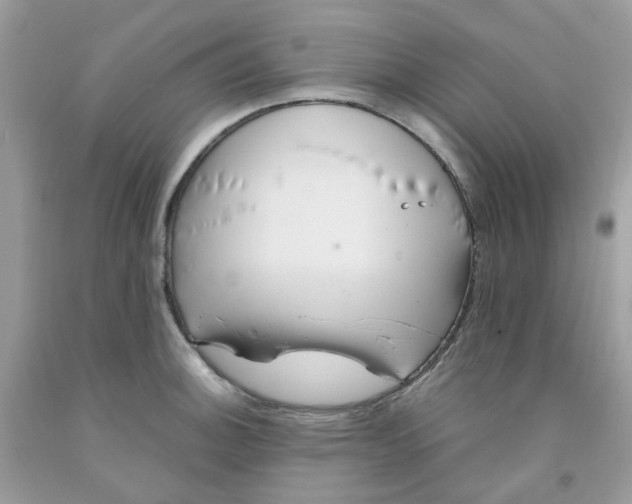 X0000091541140200709141450