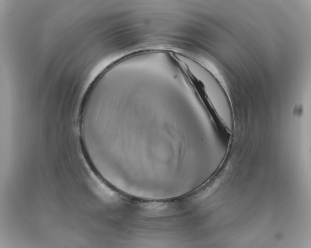 X0000091541141200709141451