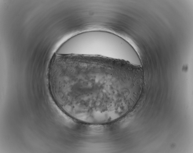 X0000091541142200709141451