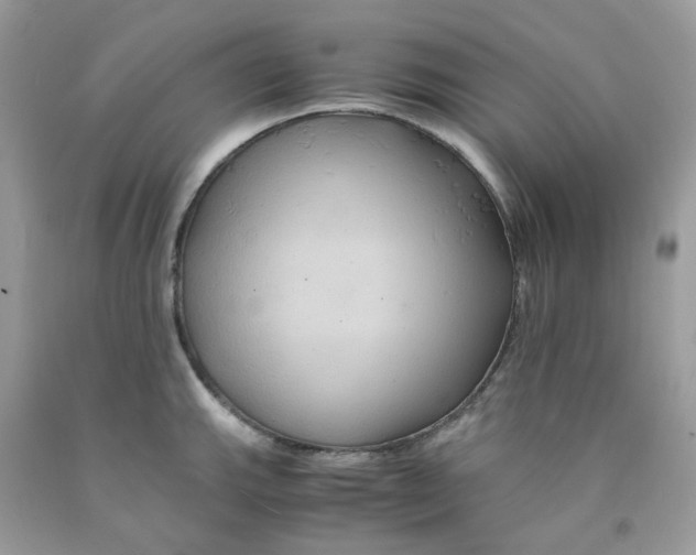 X0000091541143200709141451