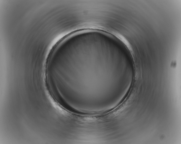 X0000091541144200709141451