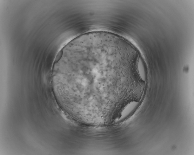 X0000091541145200709141451