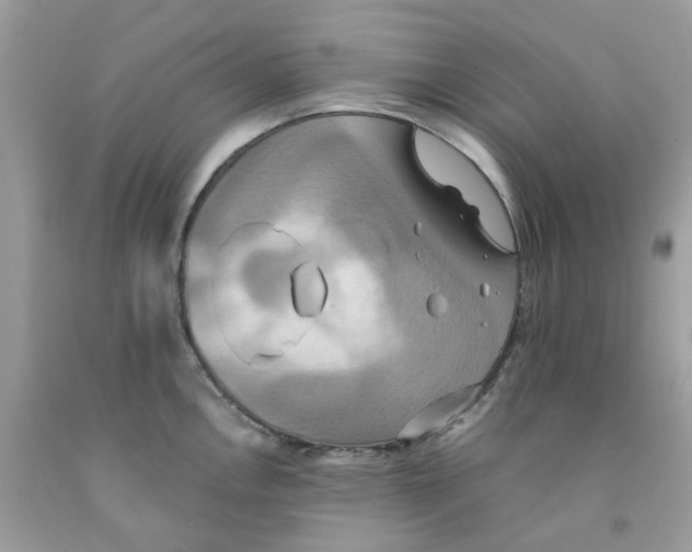 X0000091541146200709141451